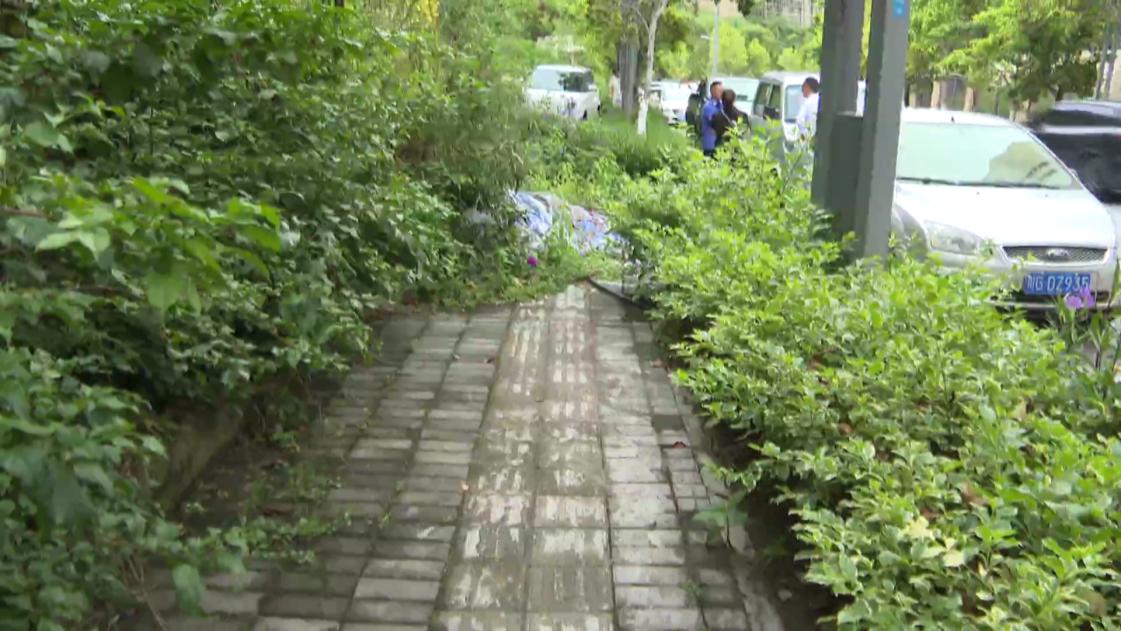 2025-09-30（新媒体收）——民声[00_03_22][20250930-170439].png