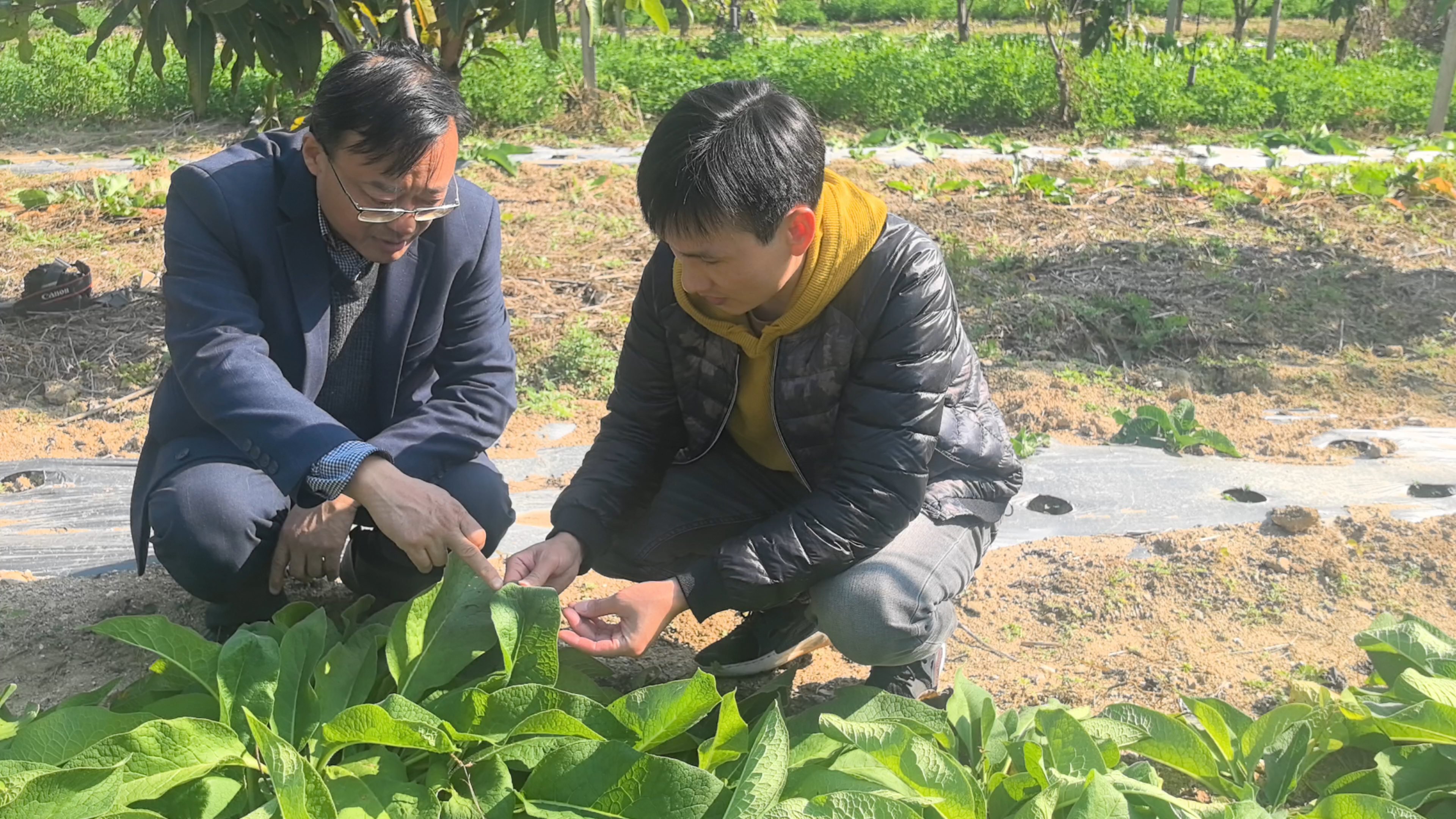 微信图片_20251213113953_48_161