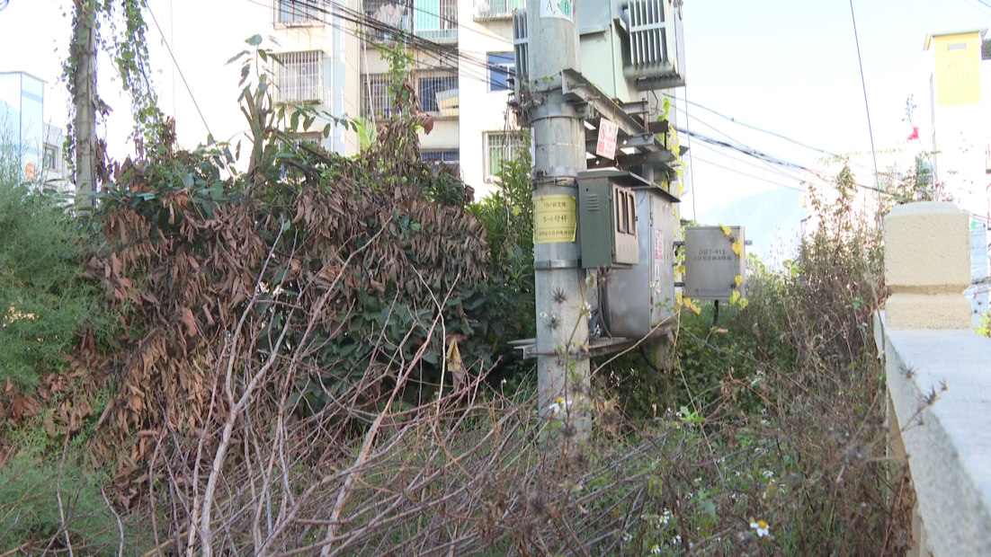 民声 枯枝包围变压器[00_00_22][20260128-171650].png