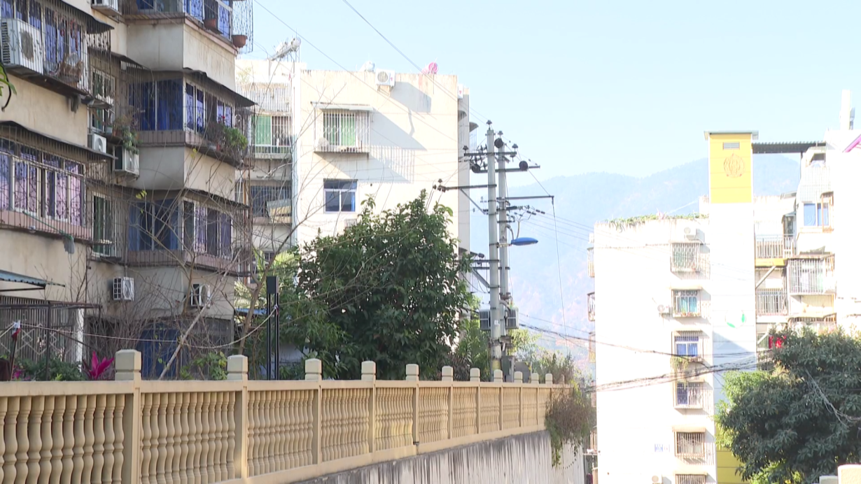 民声 枯枝包围变压器[00_00_15][20260128-171634].png