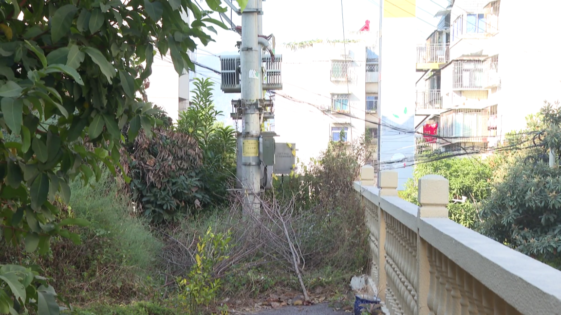 民声 枯枝包围变压器[00_01_14][20260128-171720].png