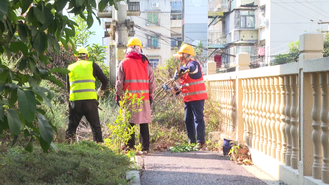 民声 枯枝包围变压器[00_01_48][20260128-171805].png