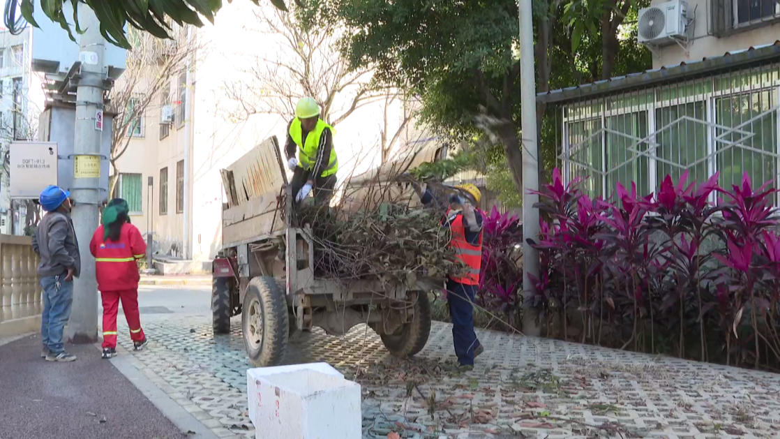 民声 枯枝包围变压器[00_01_55][20260128-171900].png