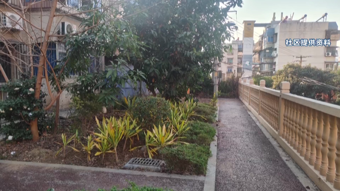 民声 枯枝包围变压器[00_02_26][20260128-171945].png