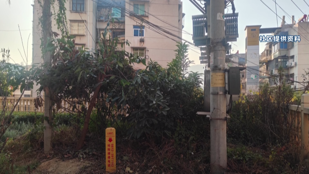 民声 枯枝包围变压器[00_02_30][20260128-171934].png