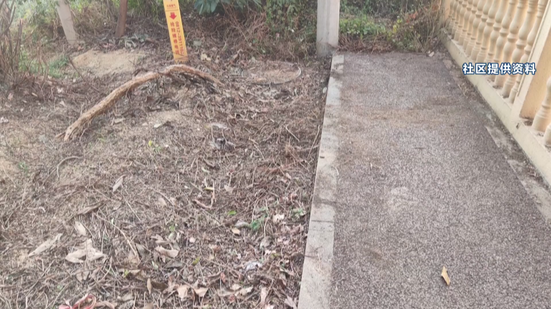 民声 枯枝包围变压器[00_02_32][20260128-172512].png