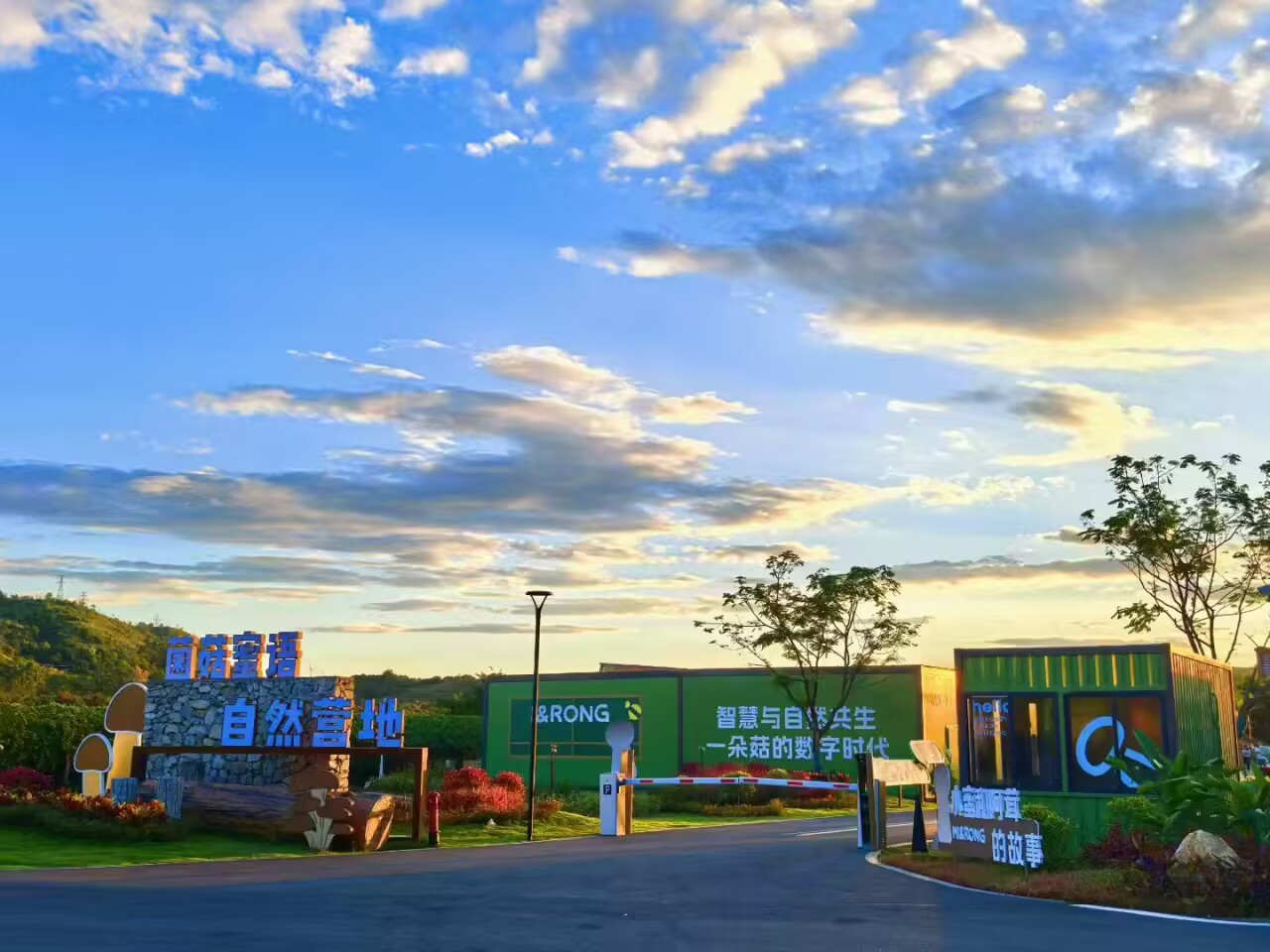 6b0032a11582182d55631fd279bdff6b_720