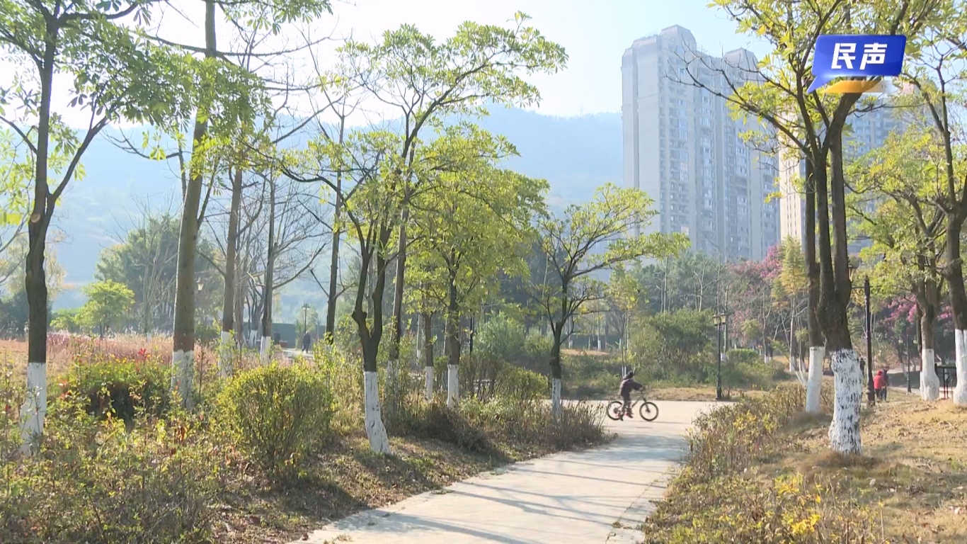 02-04（新媒体）民生-设施损坏多年 阿么玉湖公园开启“唤醒”模式.mp4_20260204_184835.026.jpg