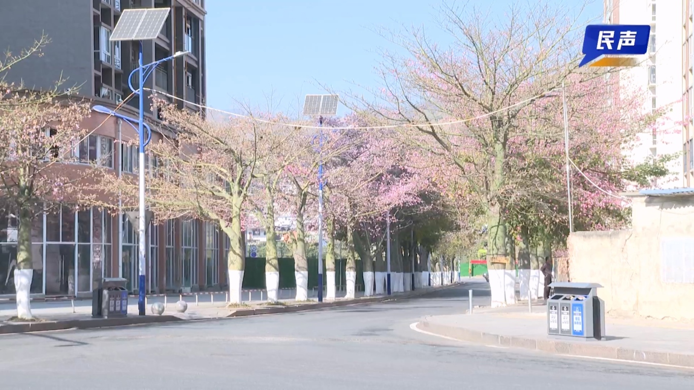 02-06 （新媒体）民生网红花街.mp4_20260206_160712.163.jpg