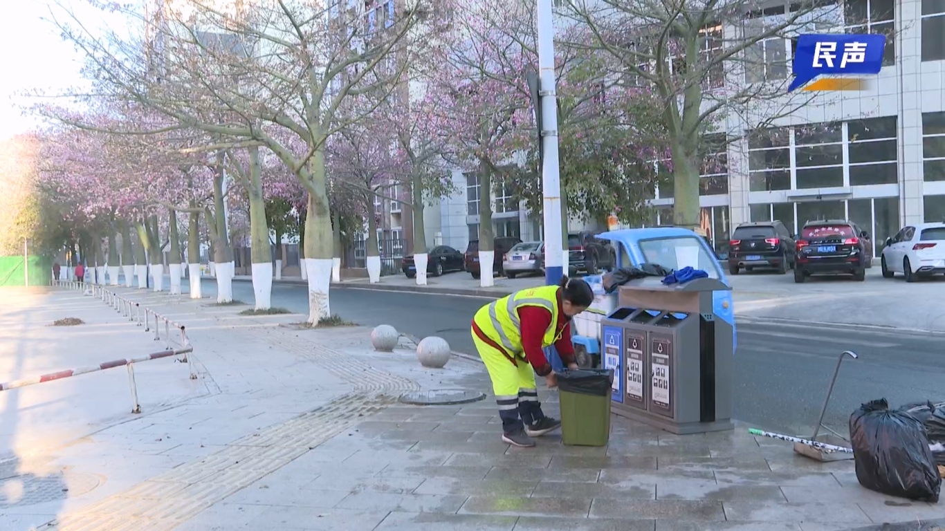 02-06 （新媒体）民生网红花街.mp4_20260206_160859.309.jpg