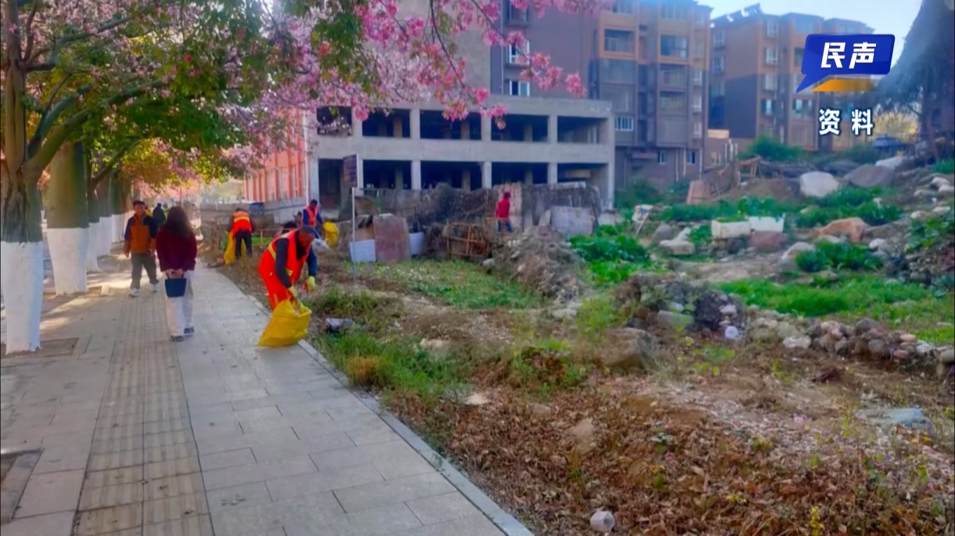 02-06 （新媒体）民生网红花街.mp4_20260206_160924.034.jpg