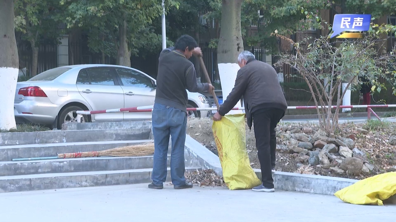 02-06 （新媒体）民生网红花街.mp4_20260206_160931.700.jpg