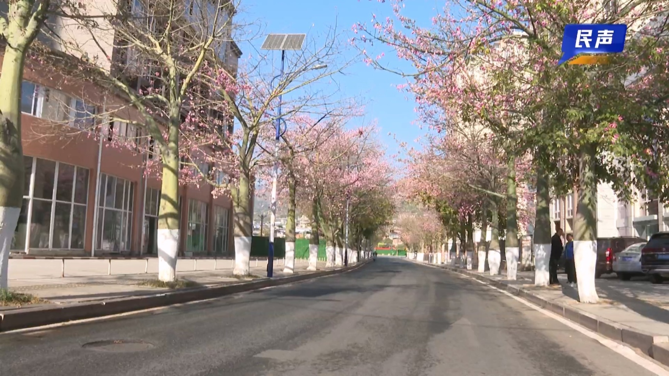 02-06 （新媒体）民生网红花街.mp4_20260206_160958.839.jpg