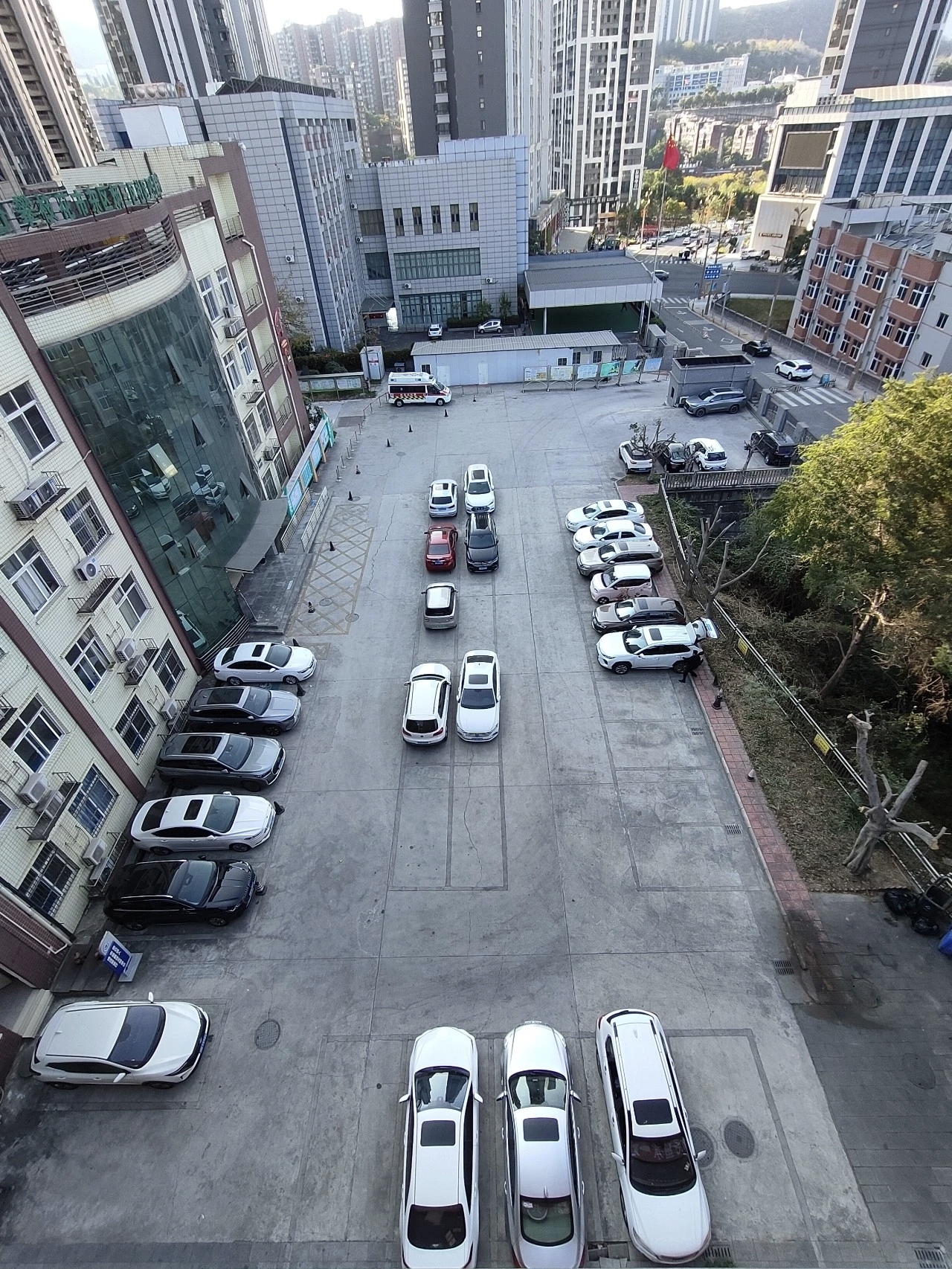 1771926393434027640.jpg fd40f269cb3ada1fc4ea79194cef5fb8.jpg