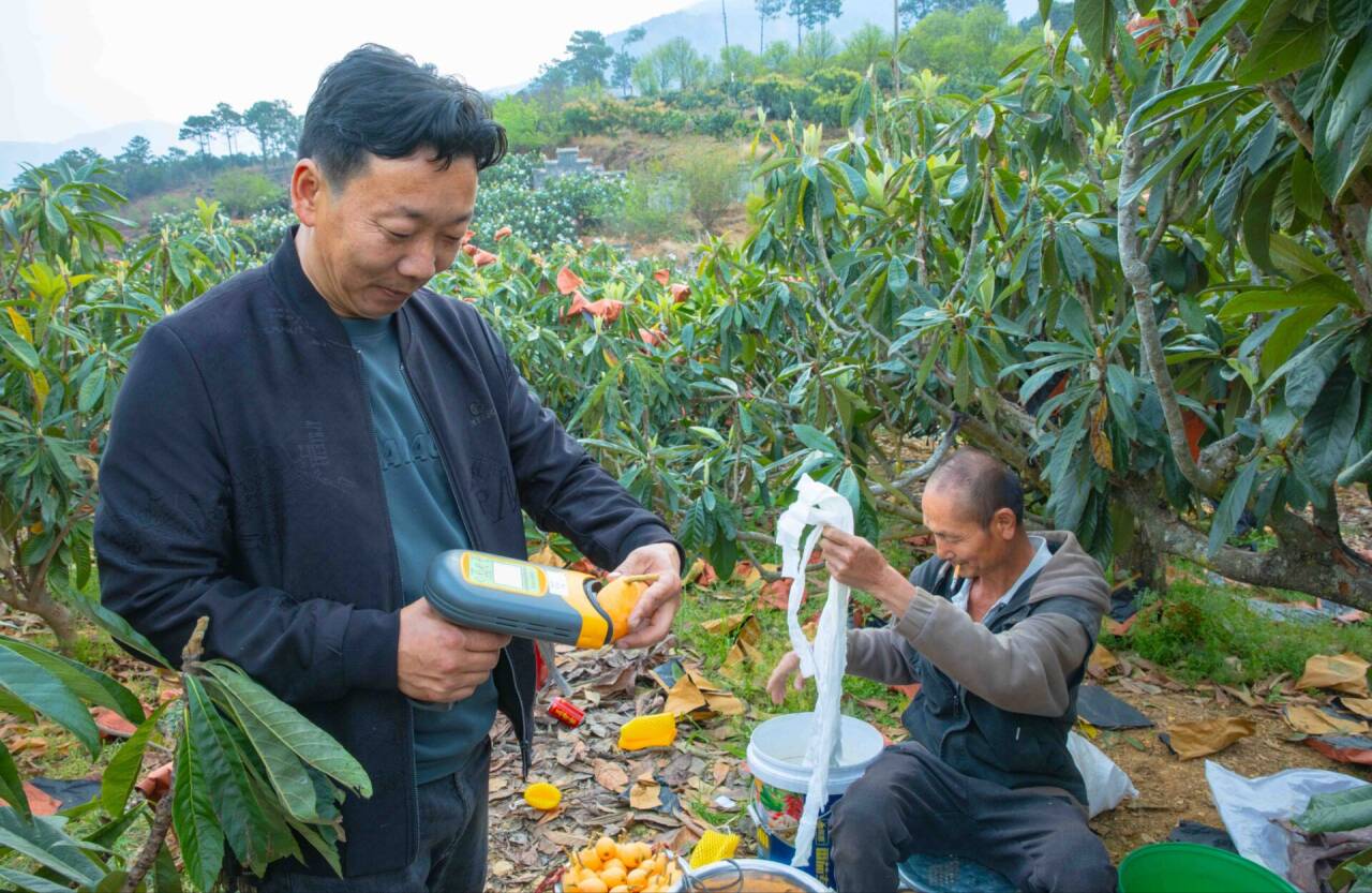 eb196cb685cf7bf59e00d521c18cb933_720