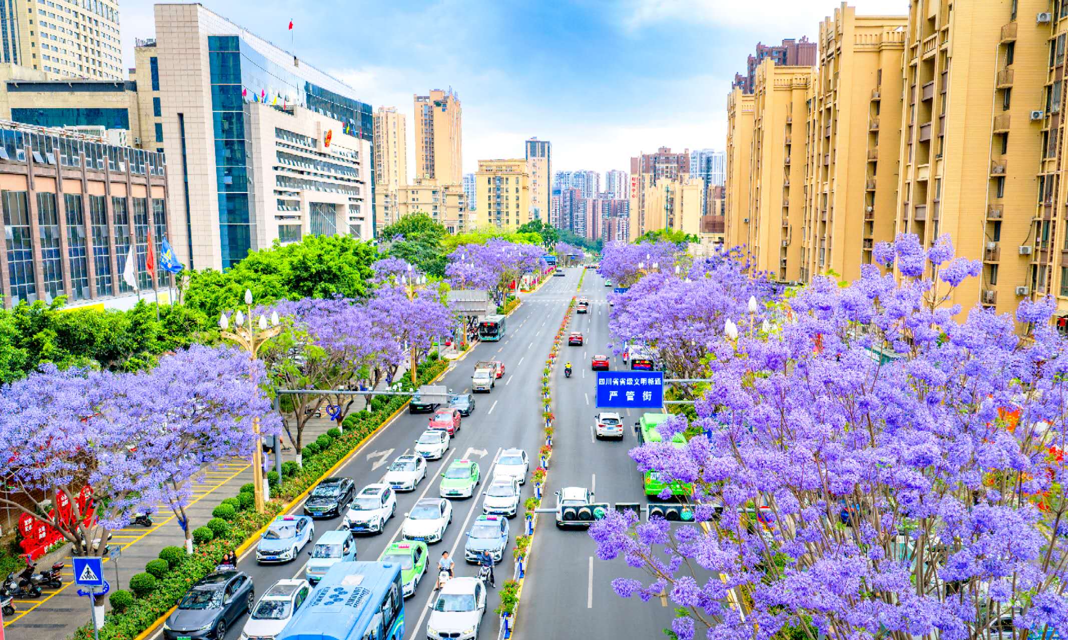 1775528780943000743.jpg 0739620d8db77a955ef269ecdf28e6f8.jpg