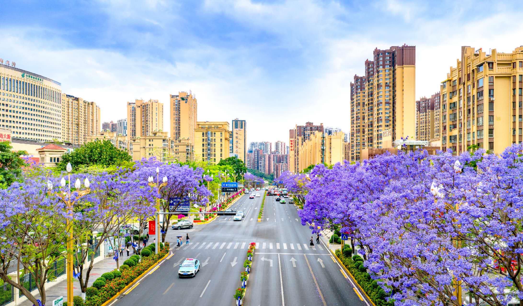 1775528799601032879.jpg 0e2b74ab2b07d22cda321a678e08a3a7.jpg