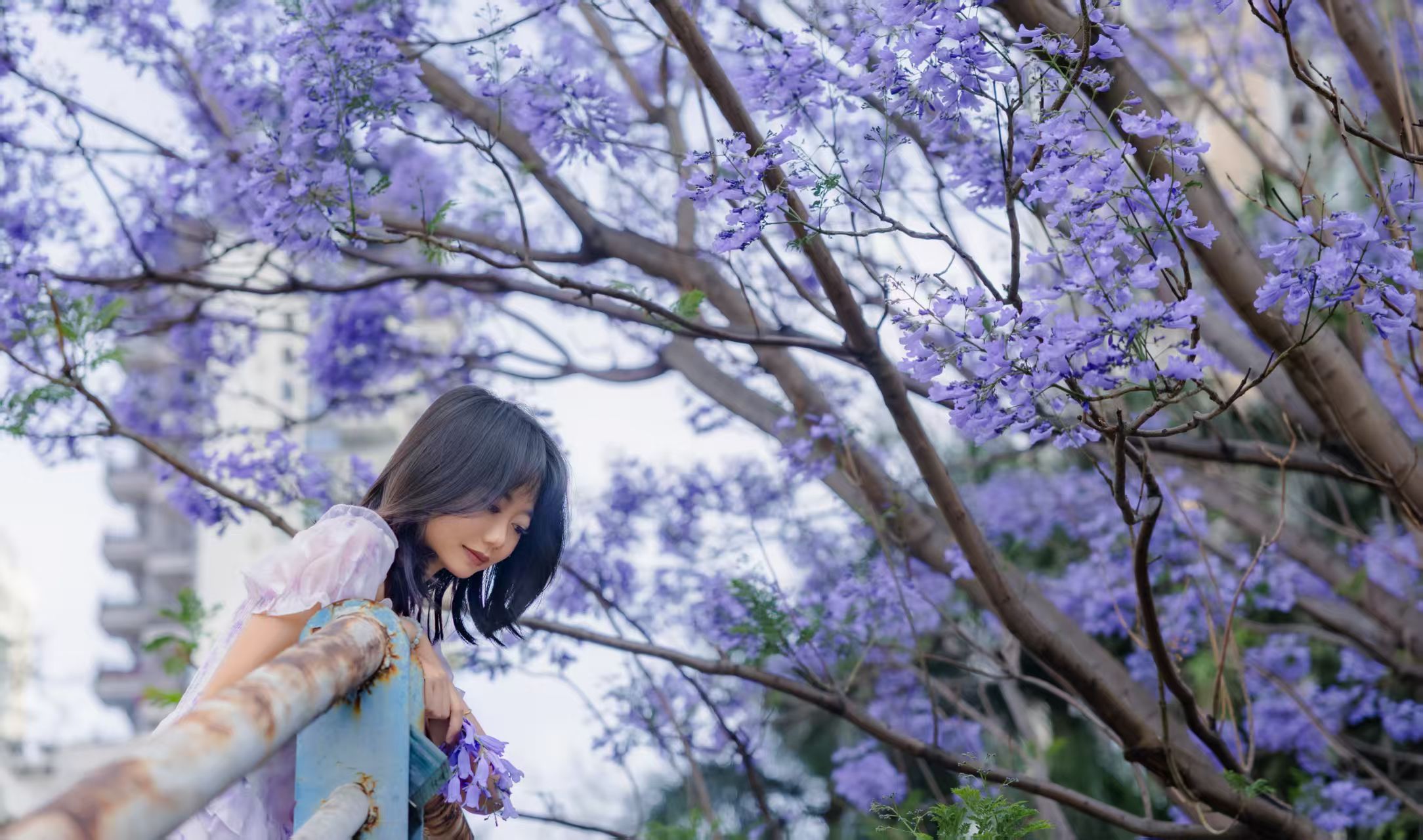 1775528841078073958.jpg 9e0aa38f3b3dc117cd4978baea1d1cfe.jpg