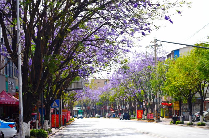 1775701667546099972.png ef12b58357886b3bf1d31fde2eaa8eb5.png