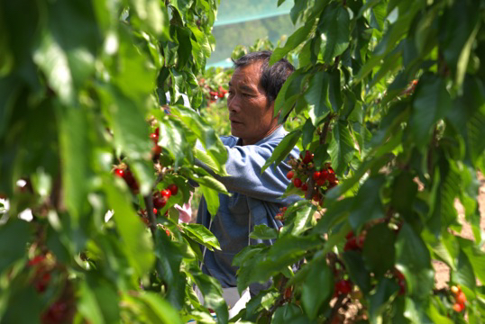 1776321102310036080.jpg 9fa7d8bfab9442f4a62323d9f2c6e1aa.jpg