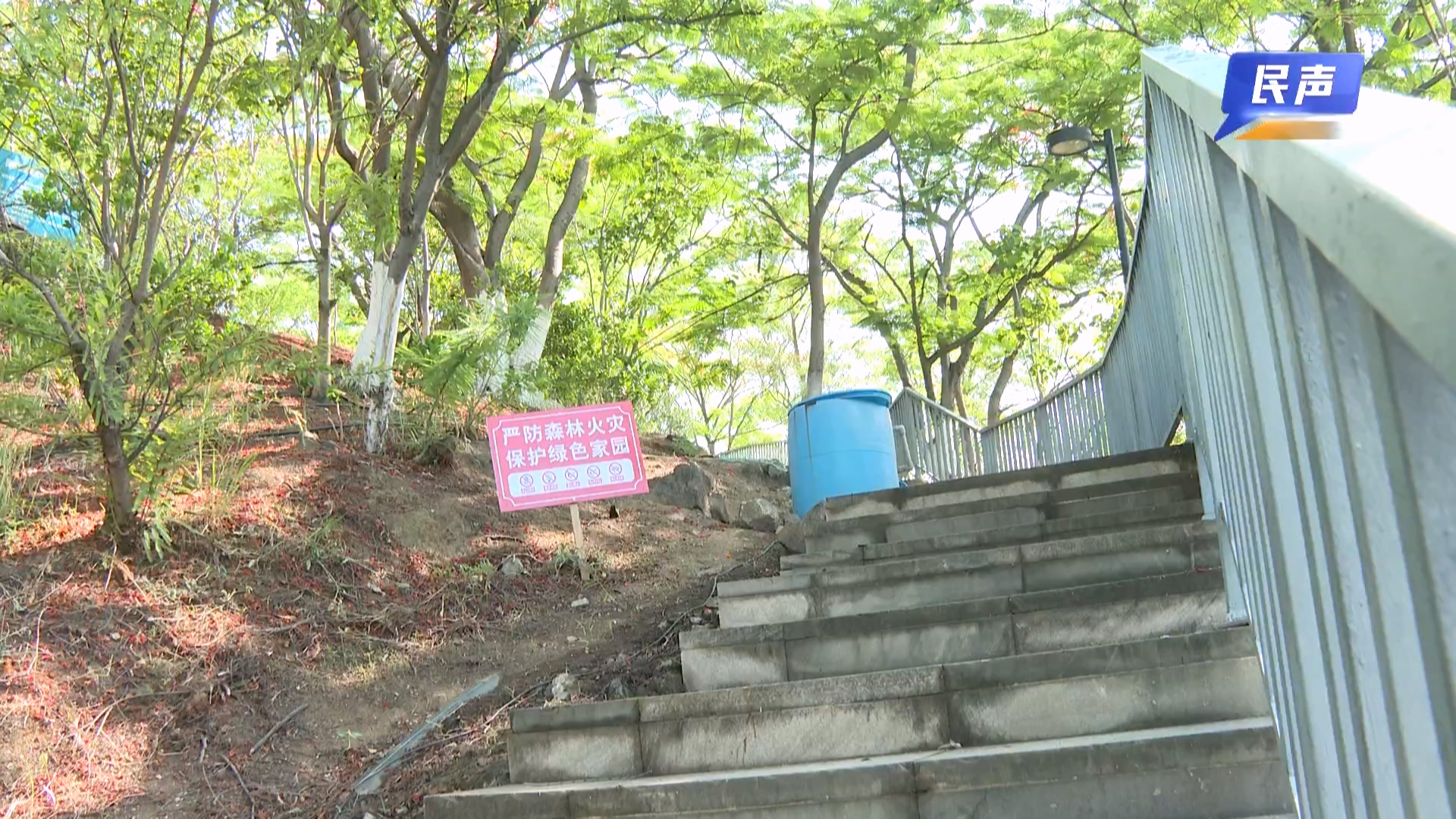 2026-06-03（民声新媒体收新1）赏花热 配套冷花热.mp4_20260603_183654.060.jpg