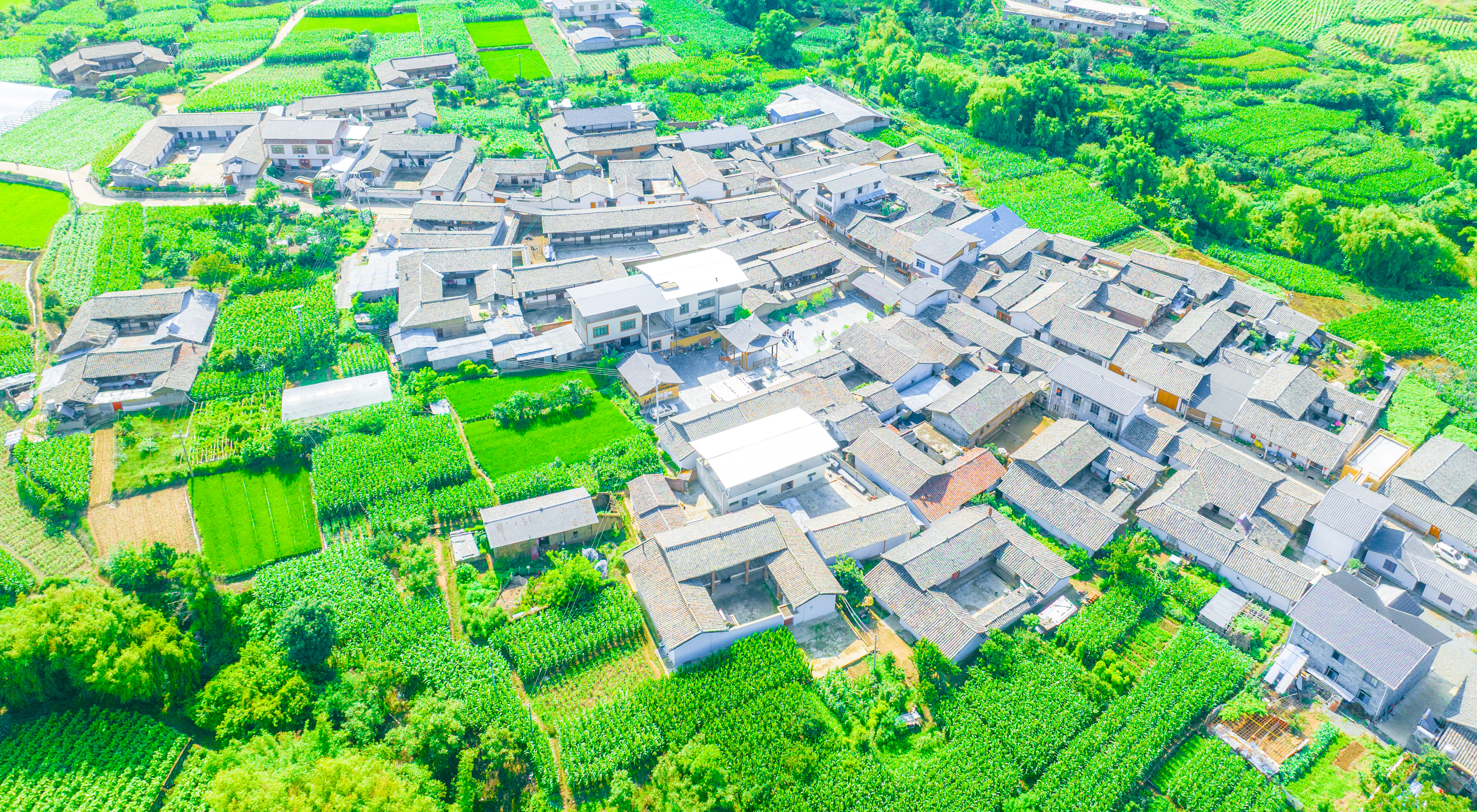 微信图片_20260707101131_34_202