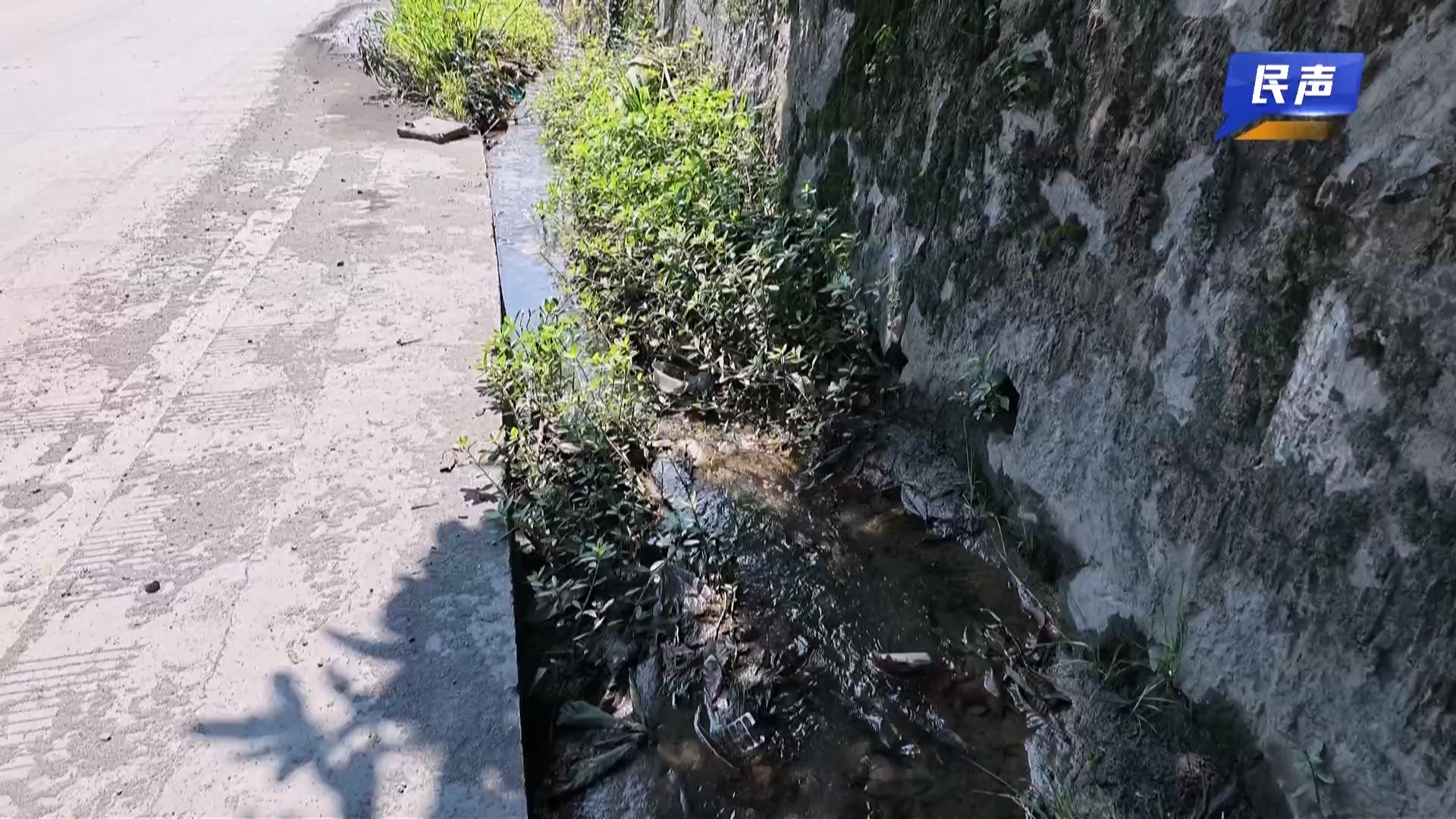 民声 沟渠淤堵水漫路.mp4_20260724_185913.130.jpg