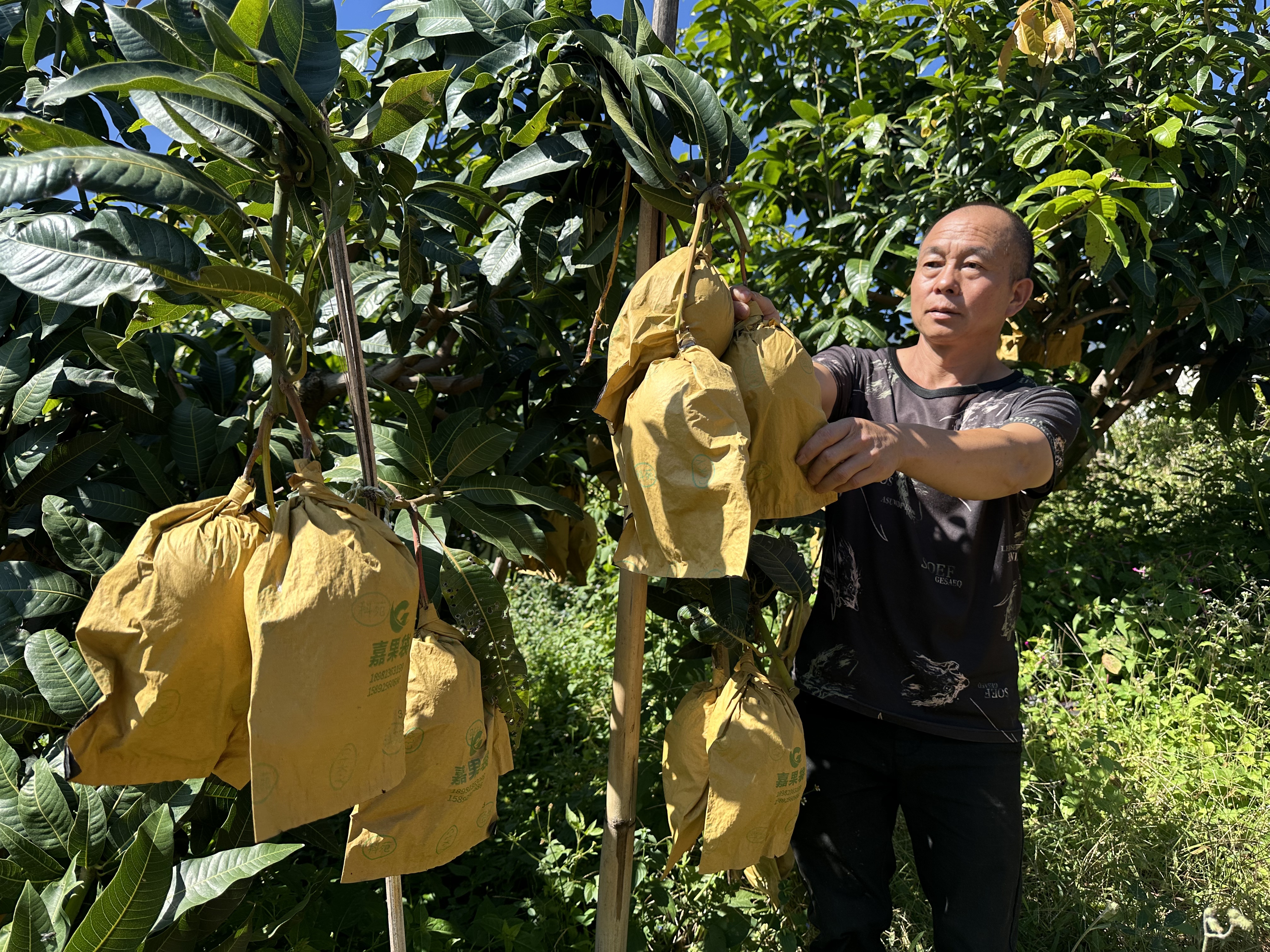 微信图片_20261023000045_372_5